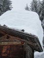 IMG_1784
