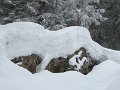 IMG_1788
