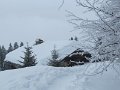IMG_1790