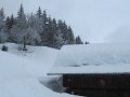IMG_1791