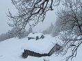 IMG_1795