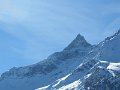 IMG_1884