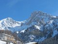 IMG_1893