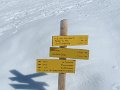 IMG_1902