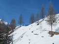IMG_1919