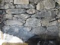 IMG_1921