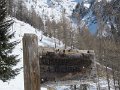 IMG_1923