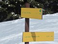 IMG_1957