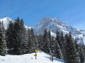 IMG_1959