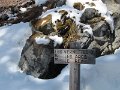 IMG_1960