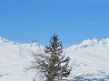IMG_1962
