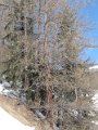 IMG_1971
