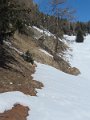 IMG_1973