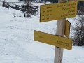 IMG_1975