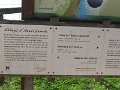 IMG_8124