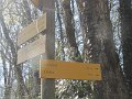 IMG_8132