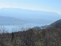 IMG_8135