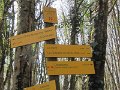 IMG_8145