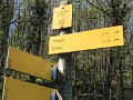 IMG_8156