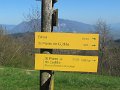 IMG_8158