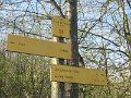 IMG_8159