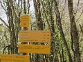 IMG_8175