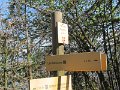 IMG_8187