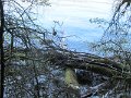 IMG_8192