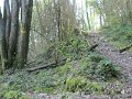 IMG_8198