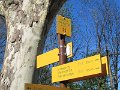 IMG_8199