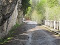 IMG_8364