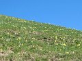 IMG_8367