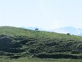 IMG_8369