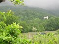 IMG_8374