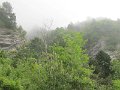 IMG_8380