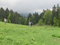 IMG_8394