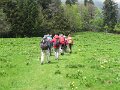 IMG_8396