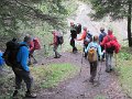 IMG_8398