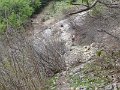 IMG_8402