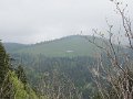 IMG_8403
