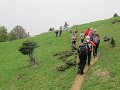 IMG_8405