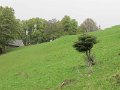 IMG_8406