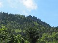 IMG_8425