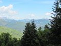 IMG_8431