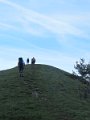 IMG_8433
