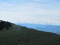 IMG_8434