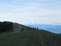 IMG_8435