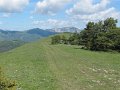 IMG_8436