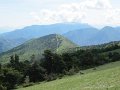 IMG_8439