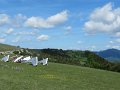 IMG_8441
